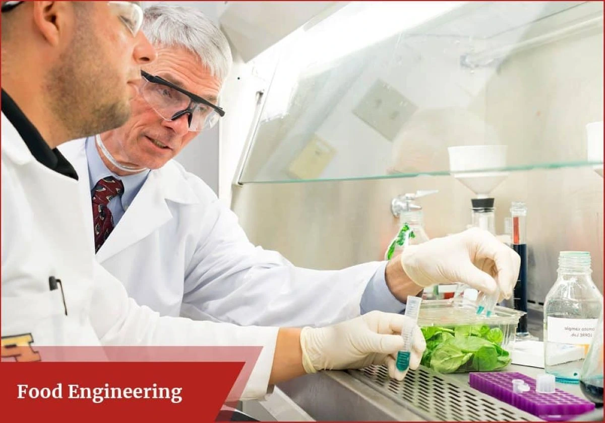 Food Engineering